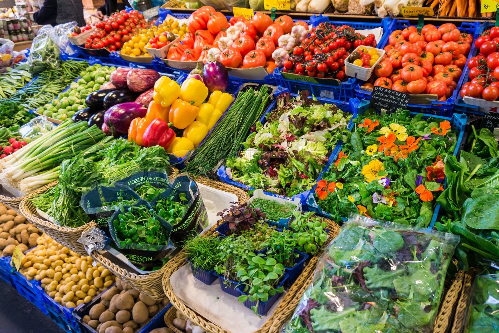 Fresh Veggies 3